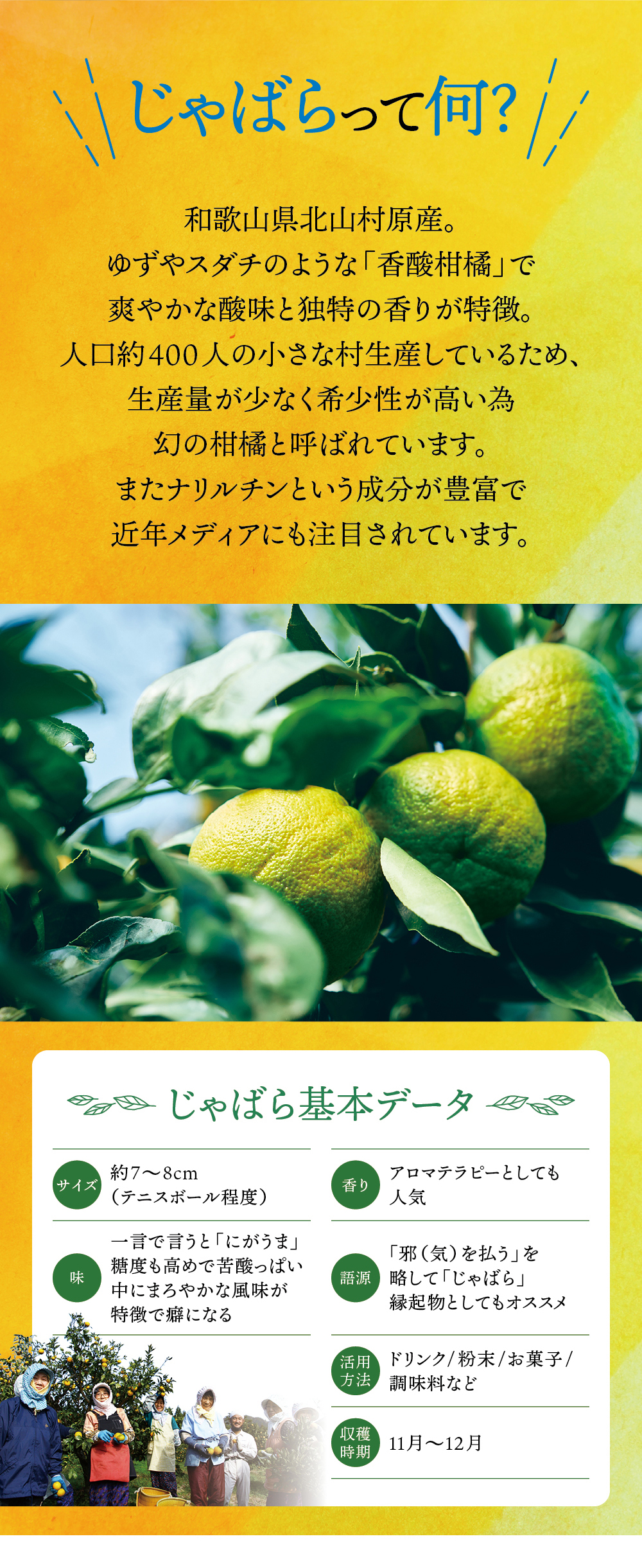 じゃばらって何？