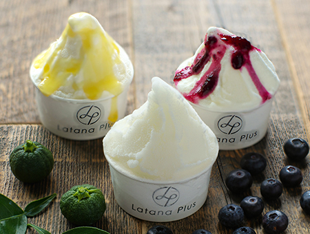 お菓子・アイス