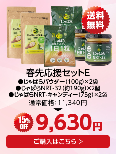 春先応援セットE