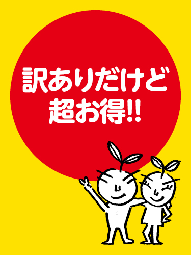 訳アリ