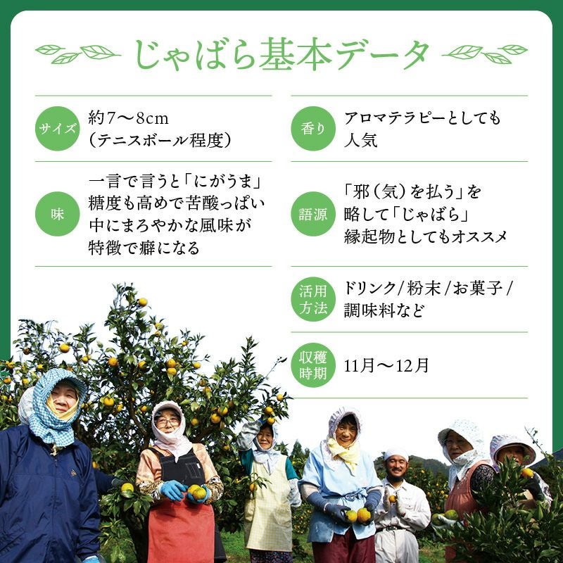 北山村のじゃばら果汁飴 150g 【メール便発送可能】 | じゃばら村