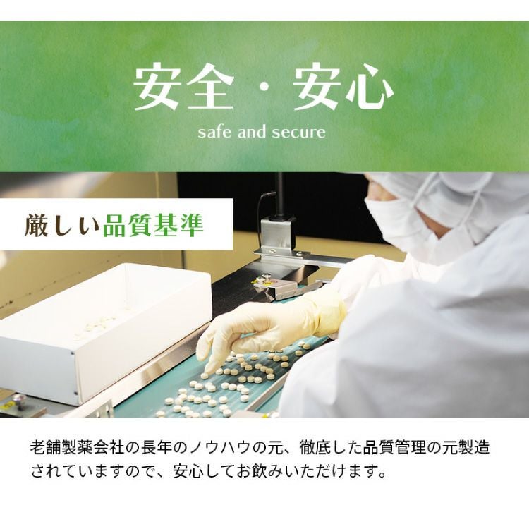 北山村公式じゃばらサプリ 93粒（31日分）×1袋 サプリメント 【メール